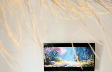 Marukichan, apartamento en el centro de Vigo - Foto 18