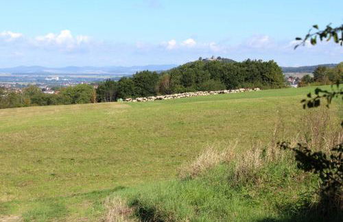 Ferienwohnung Stellberg - Foto 28