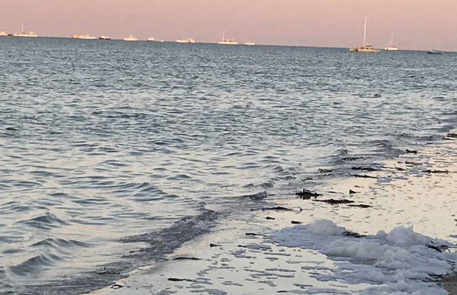 Shark Bay Seafront Apartments - Photo 64