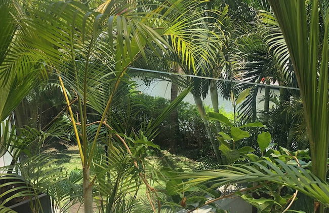 Appartement De Charme, West Island, Rivière Noire - Photo 29