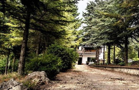 Le Conifere - Foto 7