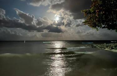 Casa de Carne de Vaca - Foto 19