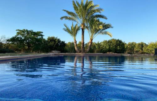 Mallorca Finca Gallo Negro Santanyi Campos - Foto 55