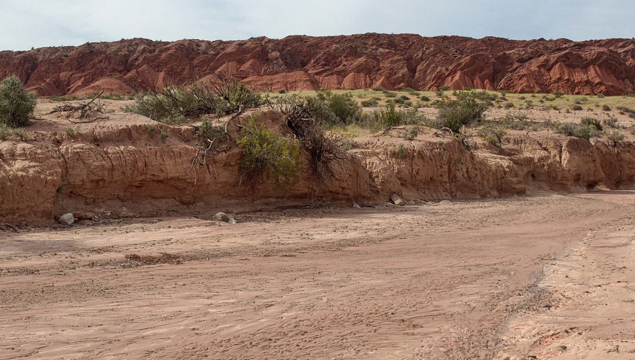 Talampaya National Park Hiking Tour - Foto 1