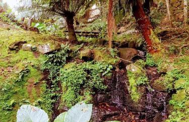 Duplex elegante Dois Quartos Em Gramado - Foto 30