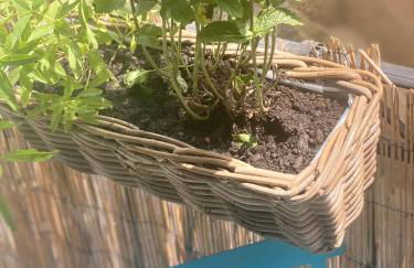 Maison Ventoux 1 Luxe Calme Central Linge fourni - Photo 18