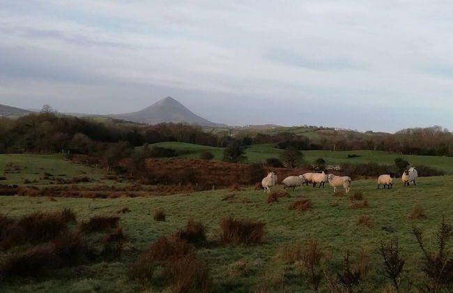 Large 5-bed Country House, Aughagower, Westport, - Foto 16