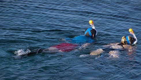 Snorkel en la península de Barú - Foto 2