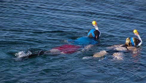Snorkel na península de Barú - Foto 1