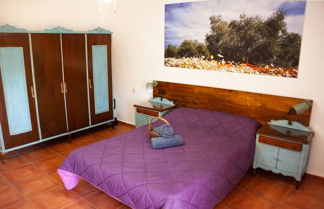 Cortijo Vizconde - Photo 16