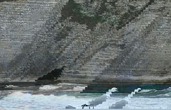 Normandy Etretat - Foto 49