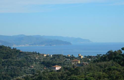 Monolocale Fattorialmare Gialla - Foto 1