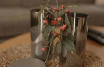 Weissewolke - Foto 37