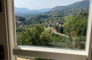 Il Gufo e l' Allodola - Foto 20