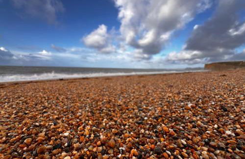 Pelican House - Photo 30