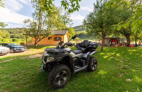 Forest Paradise - Foto 29