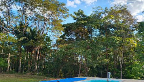 Chacara castanheira - Foto 5