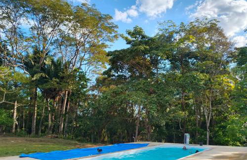 Chacara castanheira - Foto 5