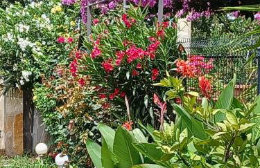 Country house Koštela - Photo 11