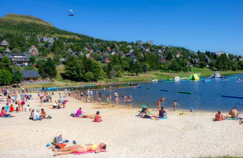 La forêt des Marmottes - Photo 24