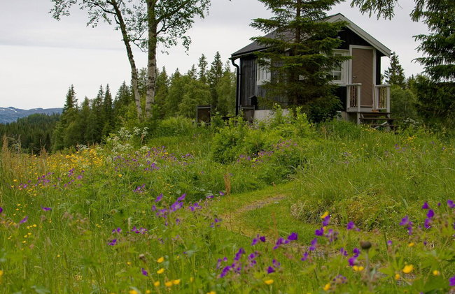 Velfjord camping & hytter - Photo 34