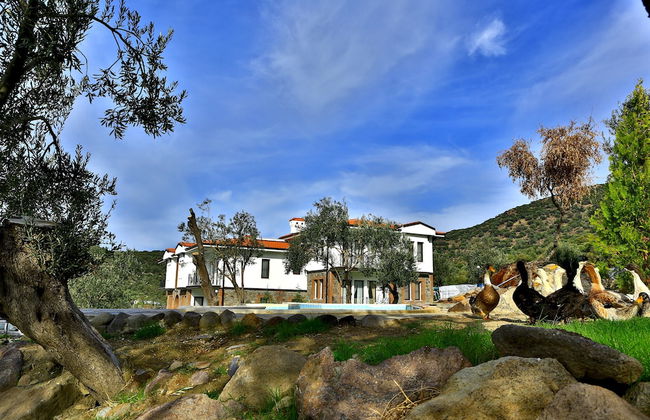 Merada Termal Hotel & Spa - Foto 28