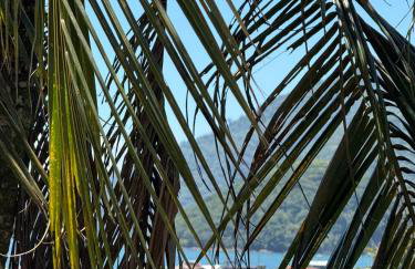 Casa dos Franceses Ilha Grande - Foto 5