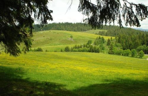 Holiday Apartment Schupp - Foto 77