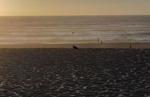 Casa dos Peixes, um refúgio à beira mar - Foto 12