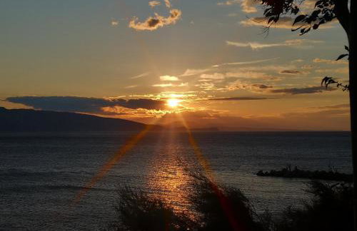 Haus Martha - Foto 28