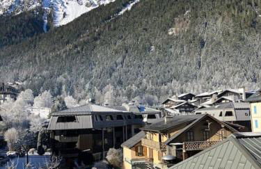 Magnifique Appartement au Centre de Chamonix - Photo 19