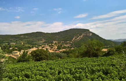 Gite nature les ANOURES en PROVENCE - Foto 21