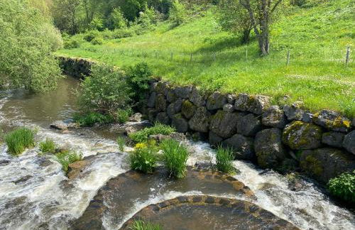 Charmant appartement au cœur des volcans d Auvergne - Photo 37