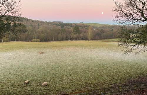 The Bothy at Ivy Cottage - Foto 24