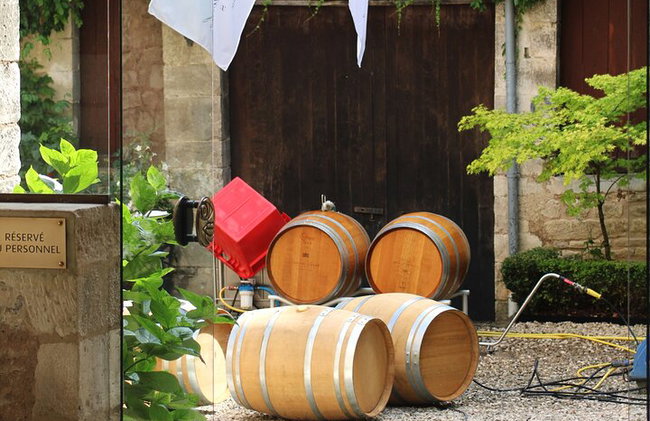 "Dégustation de vins à Chablis, au cœur de l'excellence !" - Photo 1