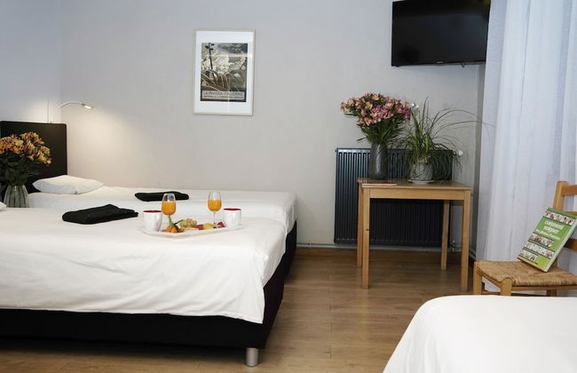 Le Domaine du Plantier - Photo 20