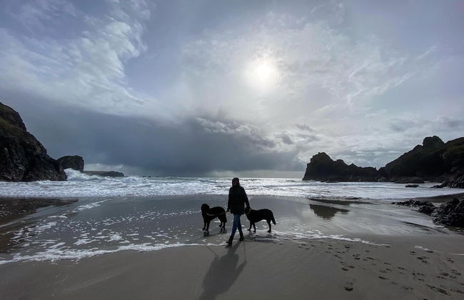 Kitty Unique 60s Caravan set in Pretty Garden - Foto 25