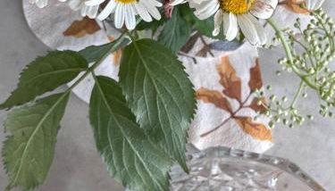 Appartamenti vacanze FRA-I-CUP 1°P - Foto 4