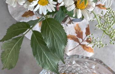 Appartamenti vacanze FRA-I-CUP 1°P - Foto 4