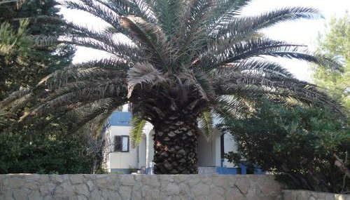 Holiday Home Mirna - Foto 3