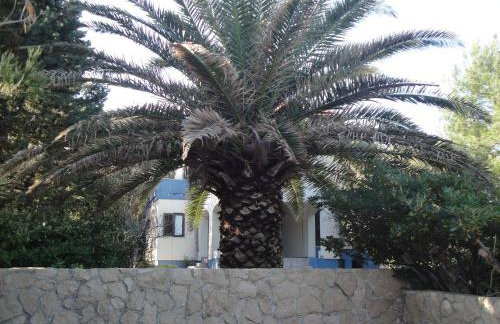 Holiday Home Mirna - Foto 3