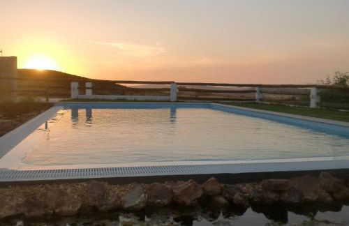 Horta da Quinta - Foto 56