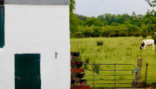 Slemish View - Foto 4