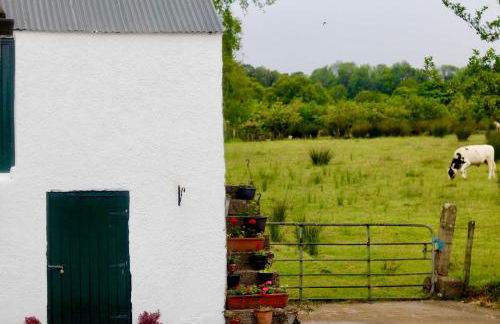 Slemish View - Foto 4