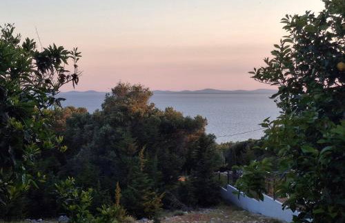 Apartmani Šegota - Photo 18