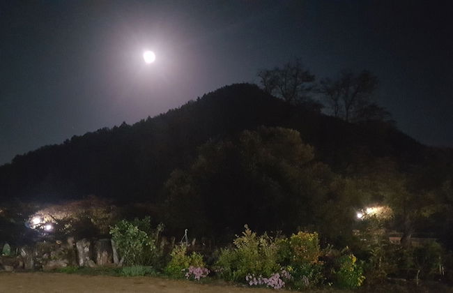 Moonlight House - Photo 42