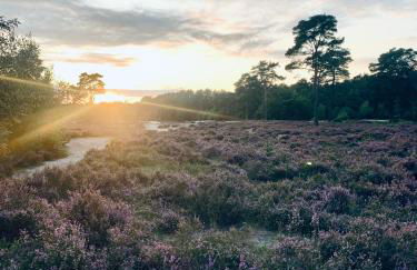 Cosy Concept - nahe Hamburg - Foto 35