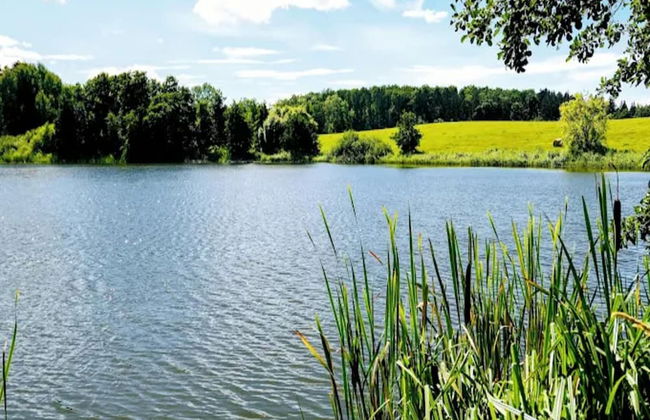 Snug Apartment in Kropelin Germany - Photo 76