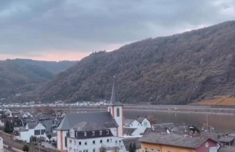 Blick auf den Rhein - Foto 56