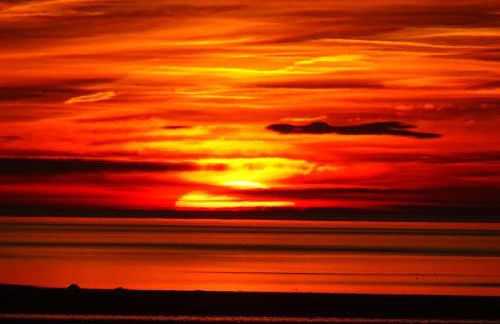 Historic 1600’s The Grocer’s Cottage - Foto 39